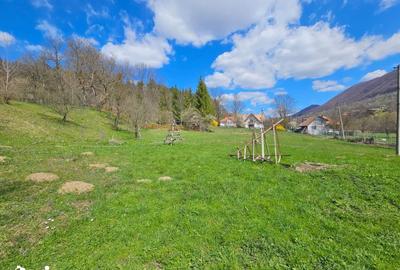 Teren de 2000 mp, în Valea Doftanei - 2