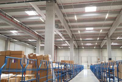 Spațiu industrial, de 1,500 mp, în Mogoșoaia - 2