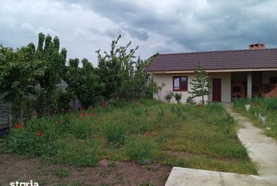 Casă cu 2 camere cu Teren 506 Mp în Bujac - 14