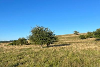 Teren agricol extravilan de 2900 mp, în Nucet - 2