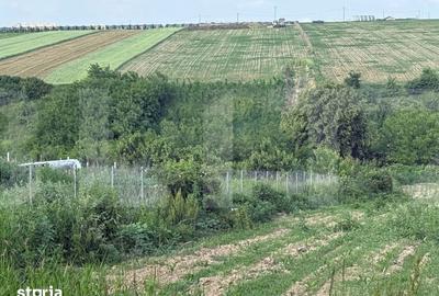 Teren de 1524 mp, în Central