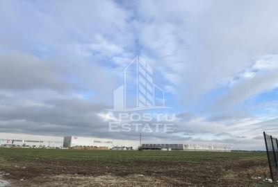 Teren de 30400 mp, în Giarmata - 1