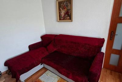 Apartament cu 2 camere semidecomandat în Vest - 7