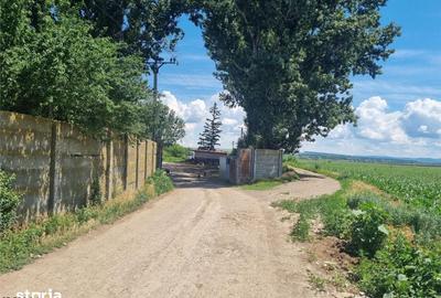 Teren de 27500 mp, în Săucești - 8