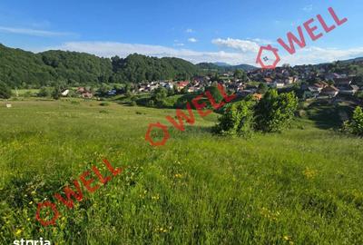 Teren de 8163 mp, în Vama Buzăului - 4