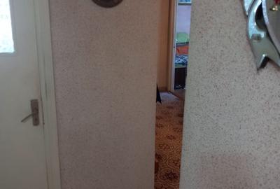 Apartament cu 3 camere decomandat în Hala Centrală - 11