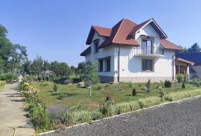 Casă cu Teren 2400 Mp în Vărădia de Mureș - 1