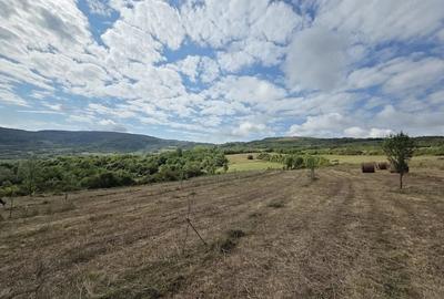 Teren de 6500 mp, în Central