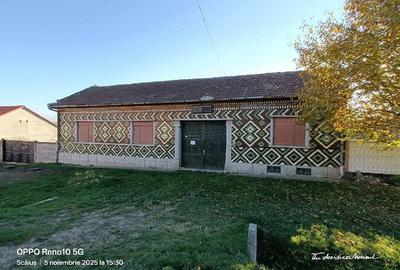 Casă cu Teren 1450 Mp în Scăiuș