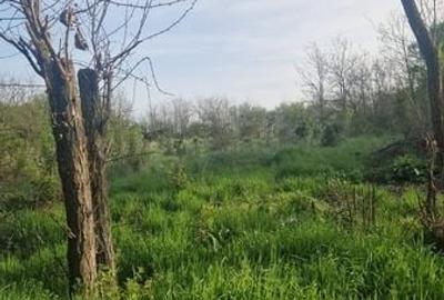 Teren de 1800 mp, în Iepurești