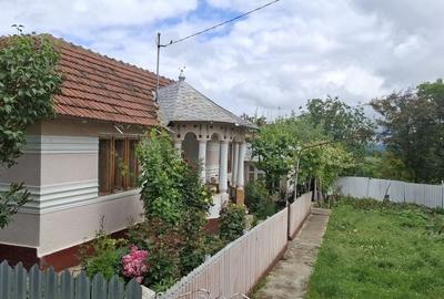 Casă cu 4 camere în Albița