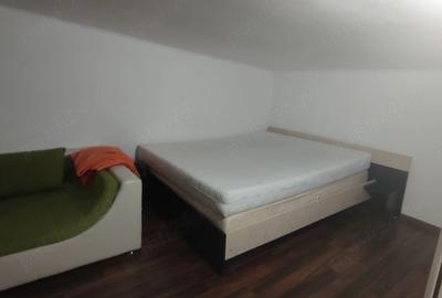 Apartament cu 2 camere decomandat în Timpuri Noi - 4