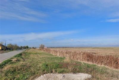 Teren Construcții intravilan de 170000 mp, în Nord - 8