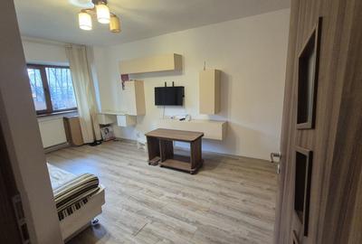Apartament cu 2 camere decomandat în Lacul Tei - 4