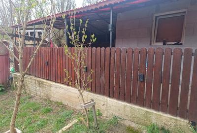 Casă individuală cu 2 camere cu Teren 3000 Mp în Tibru - 3