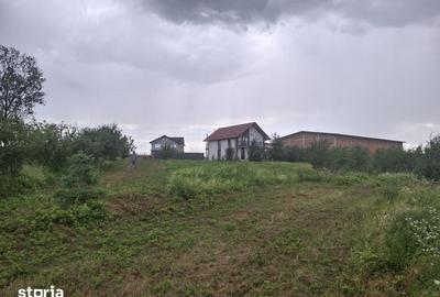 Teren de 1291 mp, în Voinești