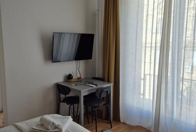 Garsonieră decomandată, mobilată în P-ța Universității - 4