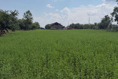Teren de 3899 mp, în Filipeștii de Pădure - 6
