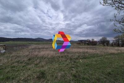 Teren Construcții intravilan de 4800 mp, în Sânpetru - 2