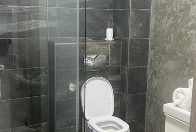 Apartament cu 2 camere decomandat în Costin Georgian - 8