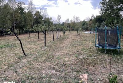 Casă cu 2 camere în Racovița - 3