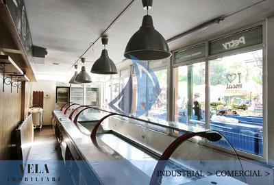 Spațiu comercial, de 39 mp, în Tudor - 2