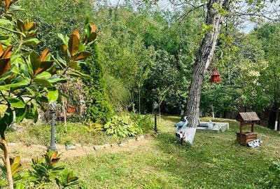 Casă cu 5 camere cu Teren 5000 Mp în Telega