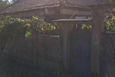 Casă cu 5 camere cu Teren 3000 Mp în Orevița Mare - 3