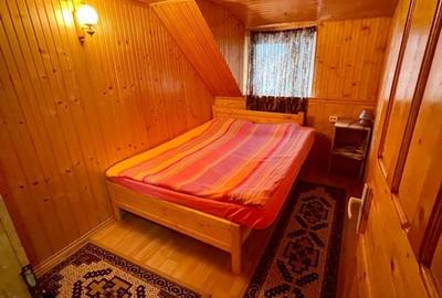 Casă cu 3 camere în Muntele Băișorii - 2