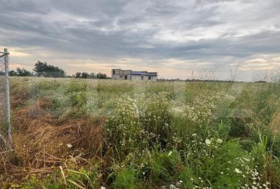 Teren Construcții intravilan de 536 mp, în Ulmi