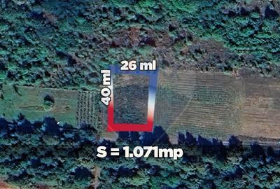 Teren de 1071 mp, în Tăuții-Măgherăuș