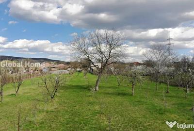 Teren de 4898 mp, în Cornu - 7