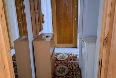 Apartament cu 2 camere în Balinț - 5