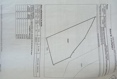 Teren de 12800 mp, în Valea Ursului - 3