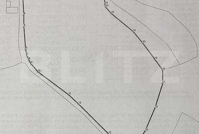 Teren de 16871 mp, în Almașu Mare - 3