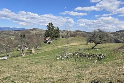 Teren de 23000 mp, în Sohodol - 5