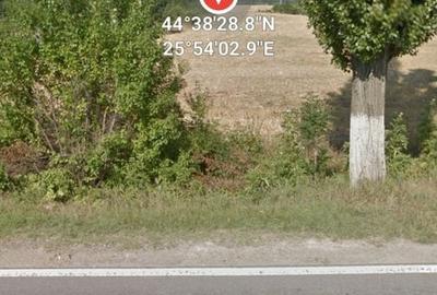 Teren Construcții intravilan de 80975 mp, în Crevedia - 7