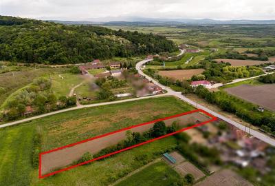 Teren intravilan de 2528 mp, în Holod - 4