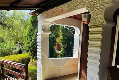 Casă cu 6 camere cu Teren 3548 Mp în Sănduleni - 12