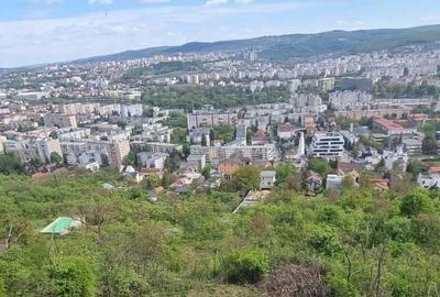 Spațiu comercial, în Grigorescu