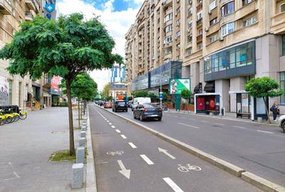 Spațiu comercial, de 205 mp, în Victoriei