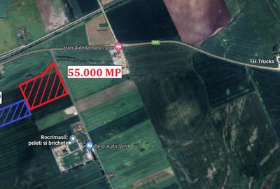 Teren de 87500 mp, în Central