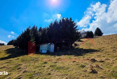 Teren de 746 mp, în Central