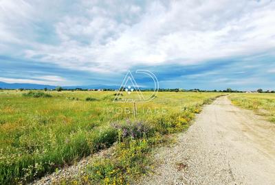 Teren agricol extravilan de 10000 mp, în Bucureasa - 4