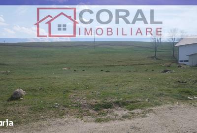 Teren de 4800 mp, în Central - 2