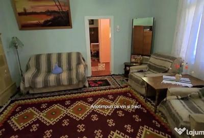 Casă cu 6 camere cu Teren 12500 Mp în Sasca Mică - 16