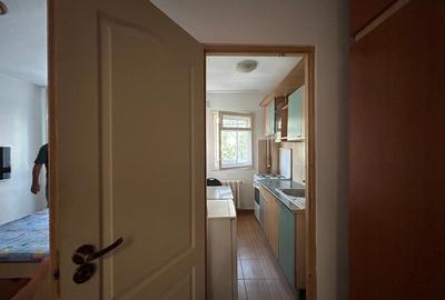 Apartament cu 2 camere semidecomandat, mobilat în Gorjului - 5