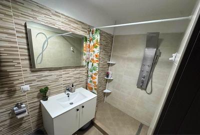 Apartament cu 2 camere nedecomandat în Valea Lupului - 3