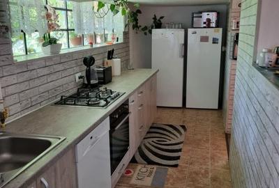 Casă cu 4 camere în Dârlos - 8