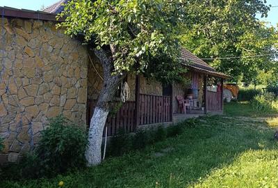Casă cu 3 camere cu Teren 4300 Mp în Ciucurova - 2